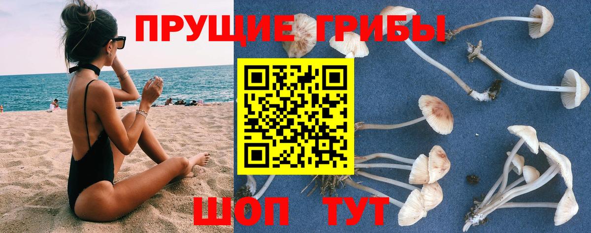 Псилоцибиновые грибы мицелий  Галлюциногенные грибы мицелий  Новошахтинск  Вход с VPN 